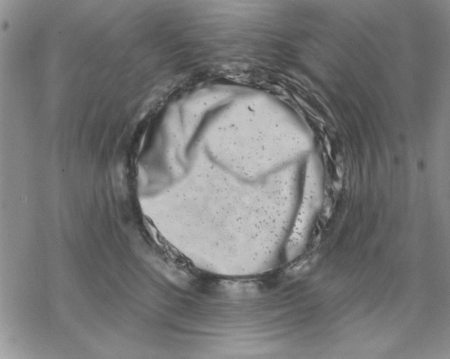 X0000069400520200606021700