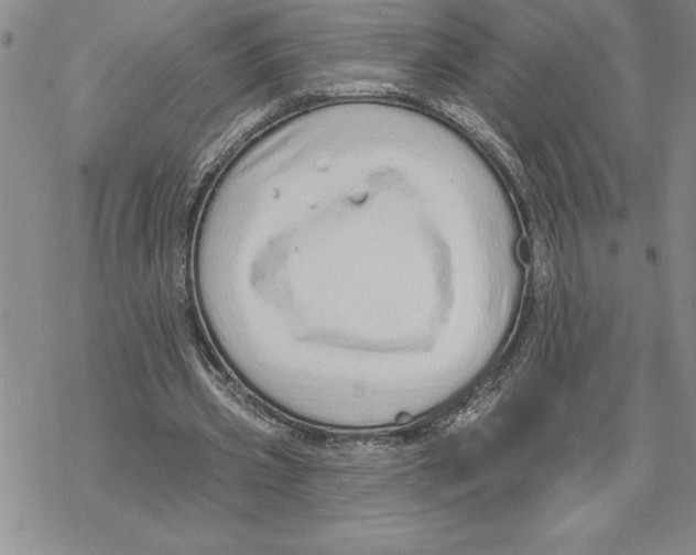 X0000069400533200606021659