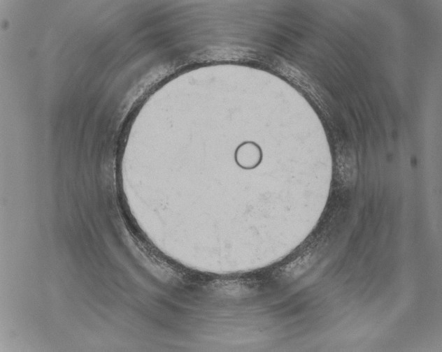 X0000069400534200606021659