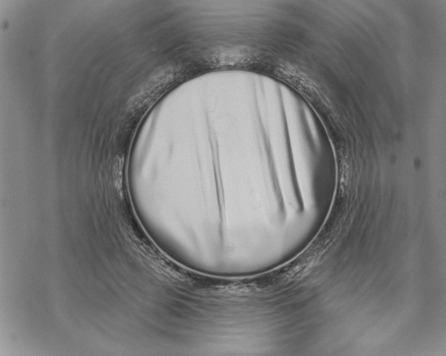 X0000069400545200606021659