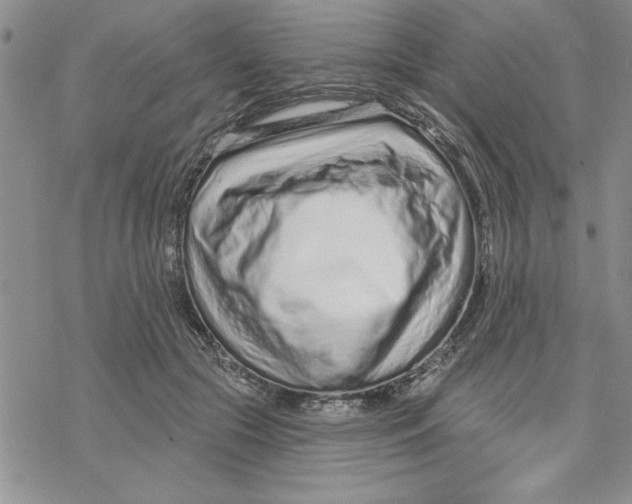 X0000069400553200606021659