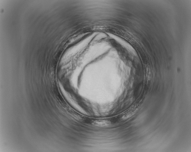 X0000069400557200606021659