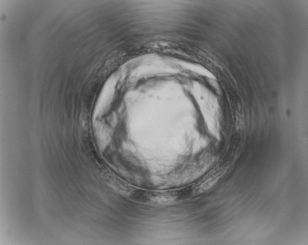 X0000069400561200606021659