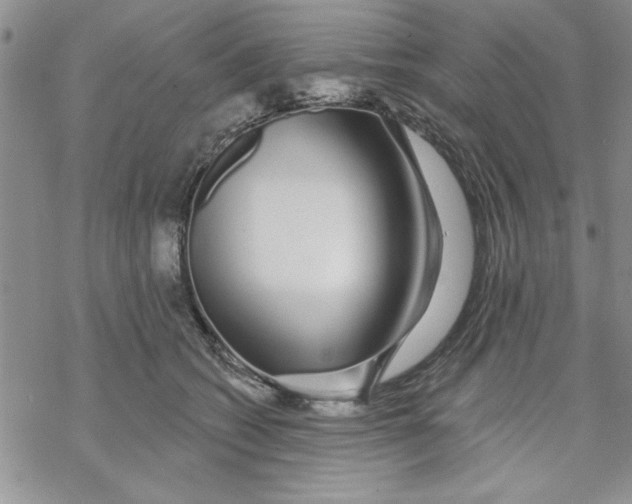 X0000069400562200606021659