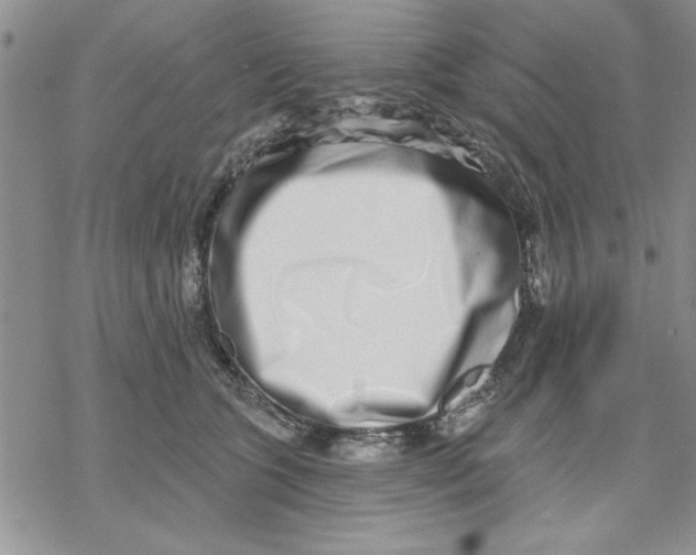 X0000069400563200606021659