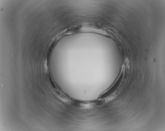 X0000069400564200606021659