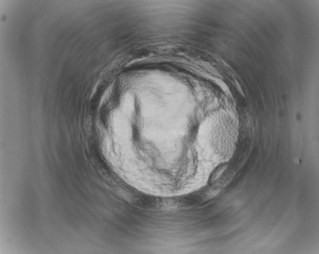 X0000069400565200606021659