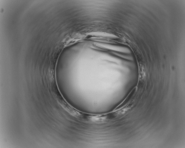 X0000069400568200606021659