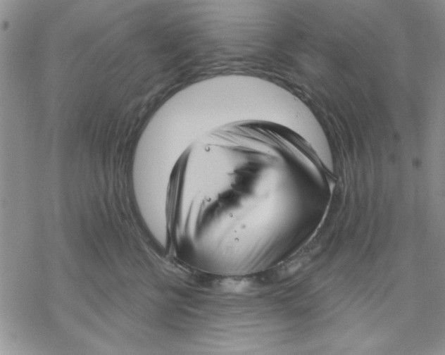 X0000069400570200606021659
