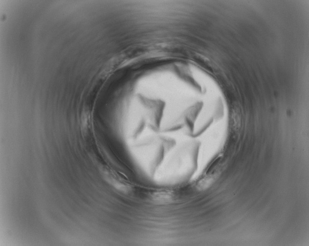 X0000069400574200606021659