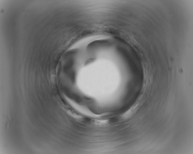X0000069400576200606021659