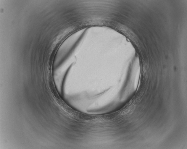 X0000069400578200606021659