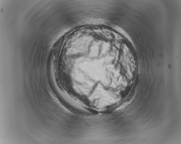 X0000069400581200606021659