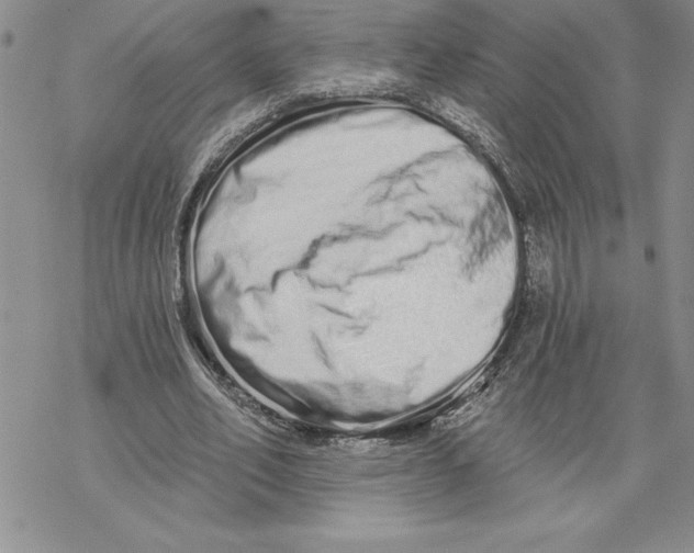 X0000069400582200606021659