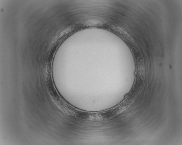 X0000069400591200606021658