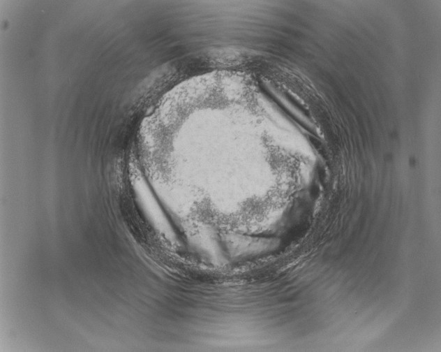 X0000069400598200606021658