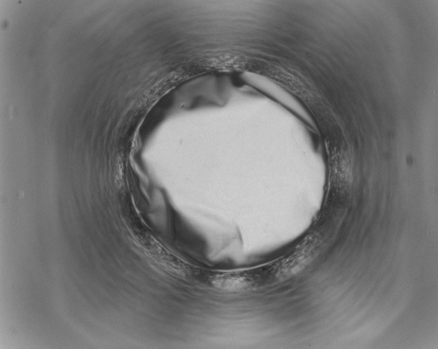 X0000069400602200606021658