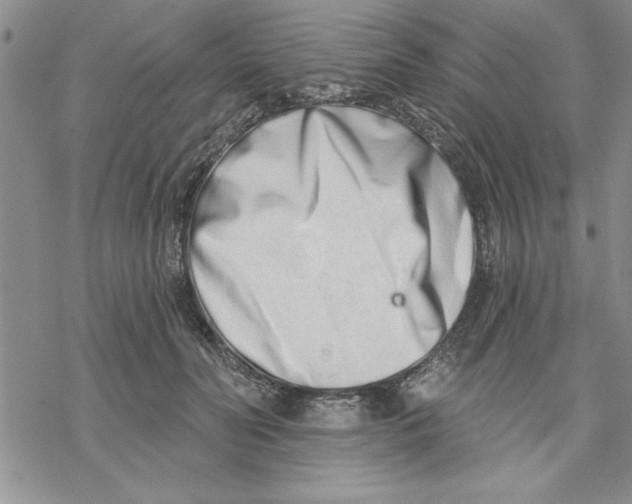 X0000069400606200606021658