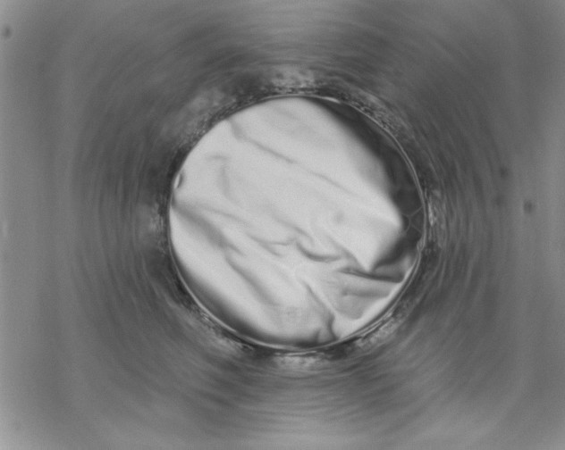 X0000069400614200606021658