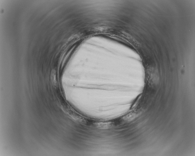 X0000069400615200606021658
