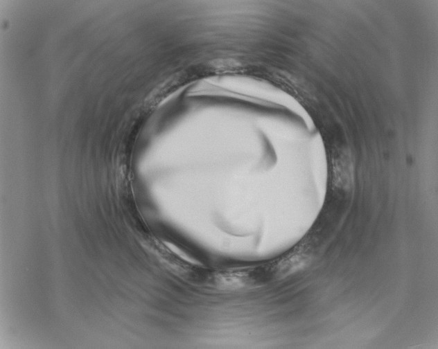 X0000069400618200606021658