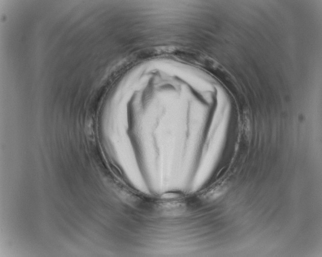 X0000069400619200606021658