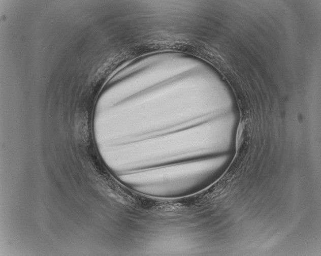X0000069400642200606021657