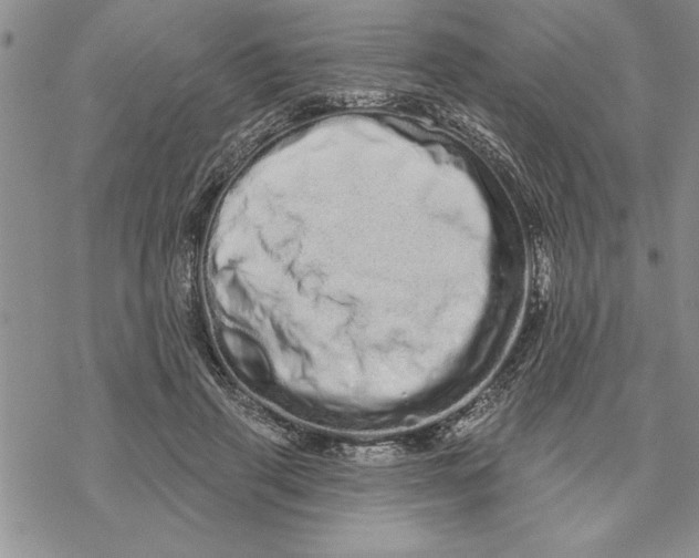 X0000069400645200606021657