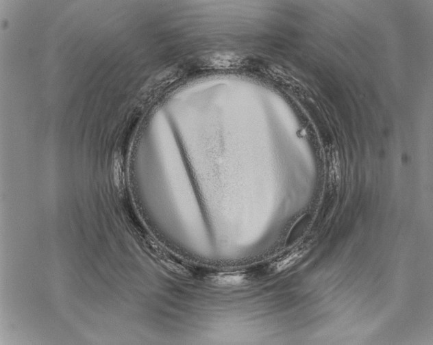 X0000069400651200606021658