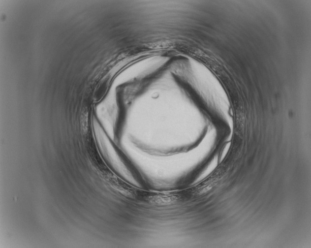 X0000069400652200606021658