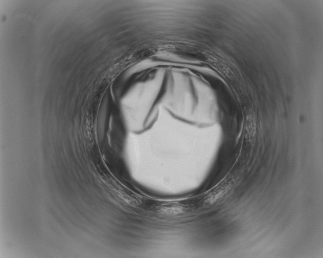 X0000069400653200606021658