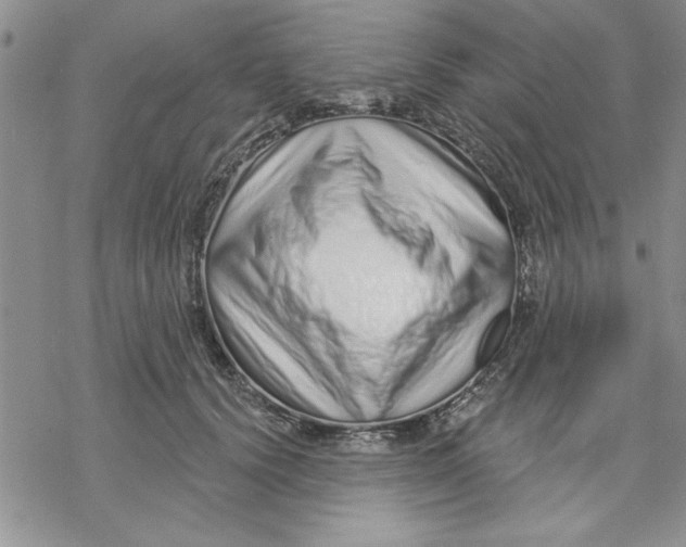 X0000069400656200606021658
