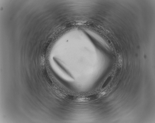 X0000069400657200606021658