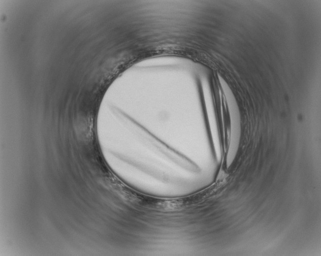 X0000069400660200606021658