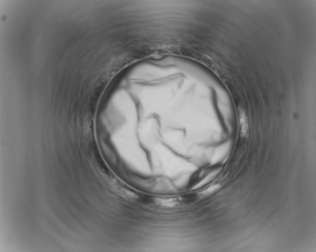 X0000069400662200606021658