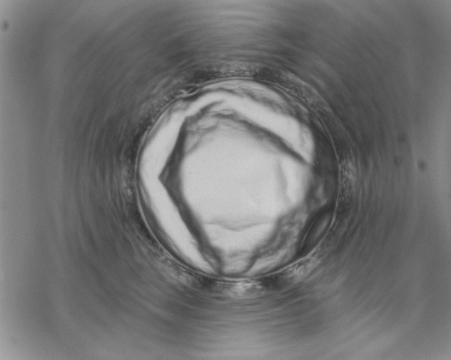 X0000069400663200606021658