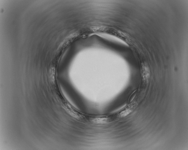 X0000069400664200606021658