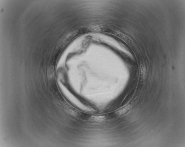 X0000069400665200606021658
