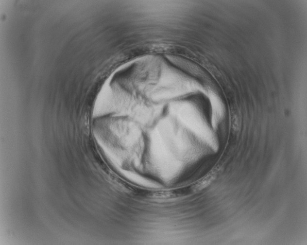 X0000069400666200606021658