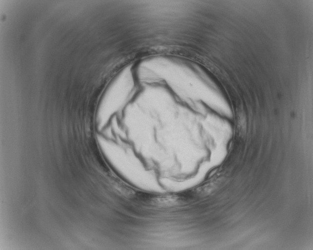 X0000069400668200606021658