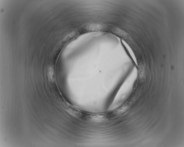 X0000069400669200606021658