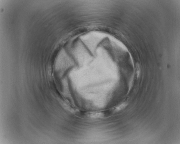 X0000069400670200606021658