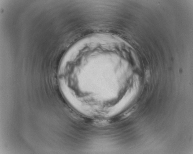 X0000069400671200606021658