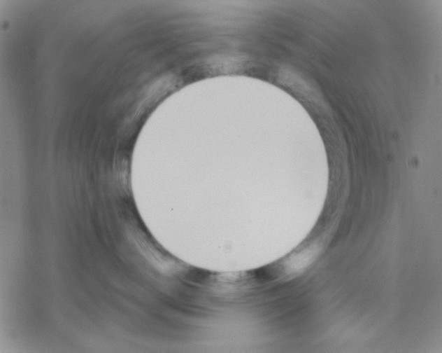 X0000069400672200606021658