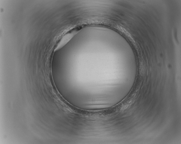 X0000069400673200606021657