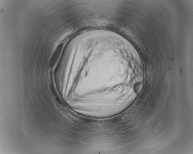 X0000069400679200606021657