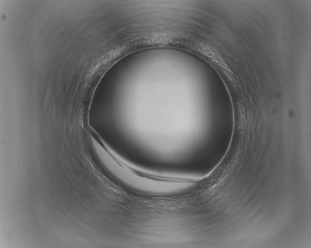 X0000069400681200606021657