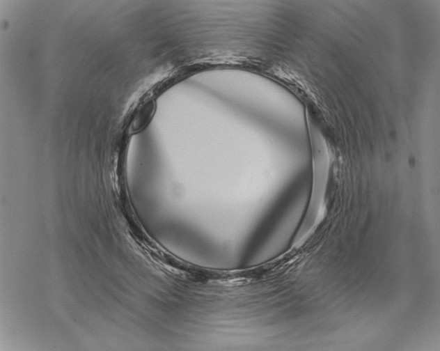 X0000069400688200606021657