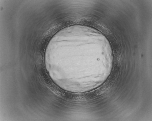 X0000069400691200606021657