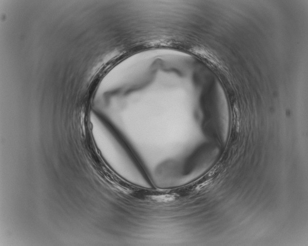 X0000069400692200606021657